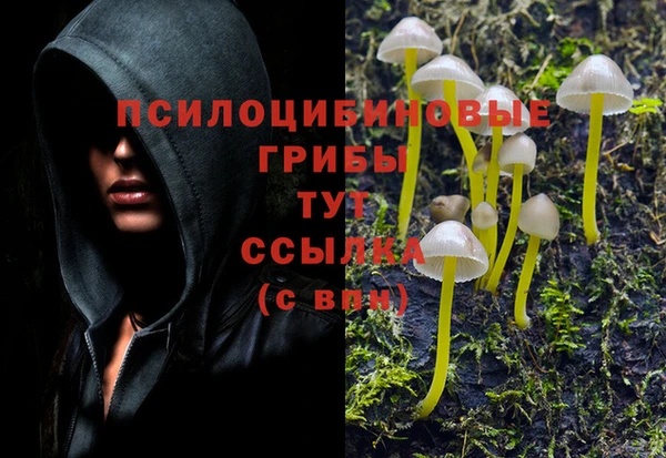 ALPHA PVP Каменногорск